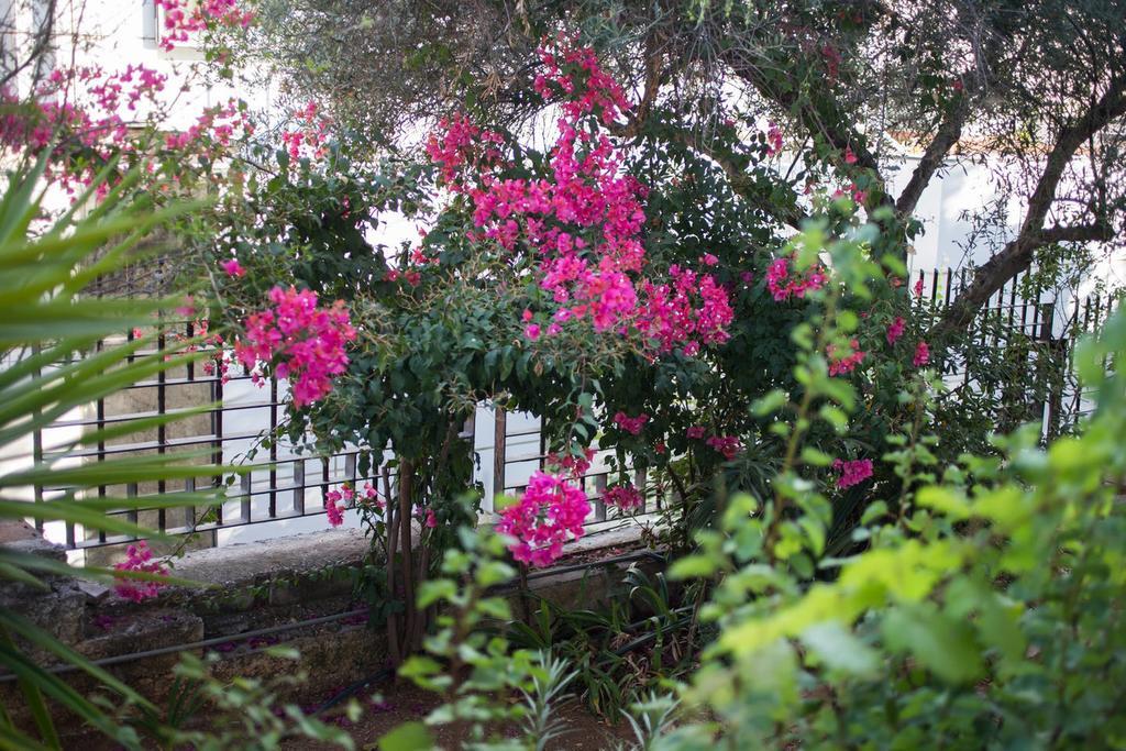 Glyfada Riviera Home Atenas Exterior foto
